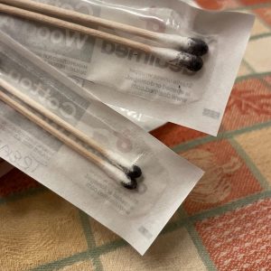 Psilocybe Cubensis Spore Swabs